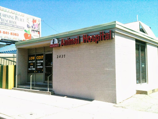 Glenoaks Animal Hospital