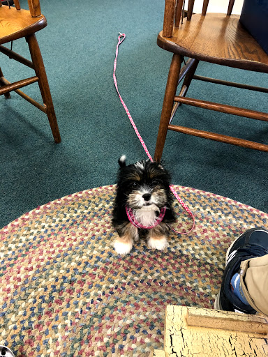 Shoe Store «Wagner Quality Shoes», reviews and photos, 4313 Butler St, Pittsburgh, PA 15201, USA