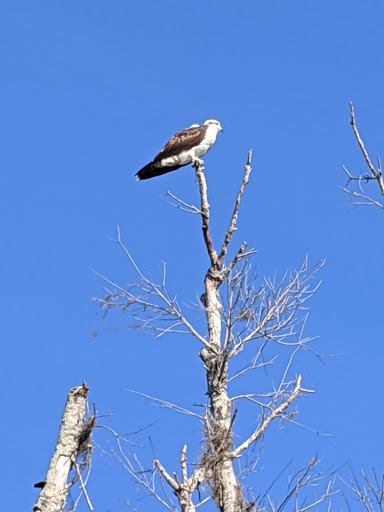 Golf Club «Manatee County Golf Course», reviews and photos, 6415 53rd Ave W, Bradenton, FL 34210, USA