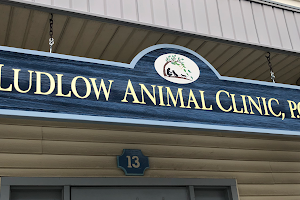 Ludlow Animal Clinic, P.C. image