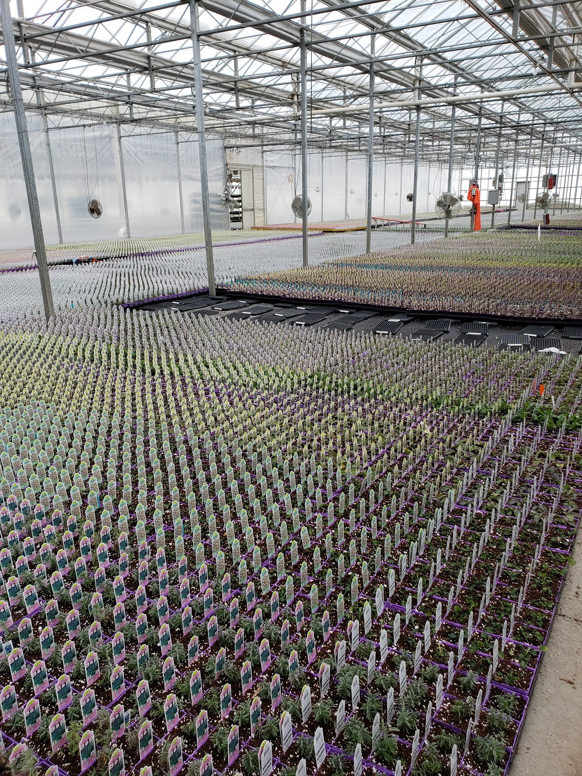 Swift Greenhouses Inc