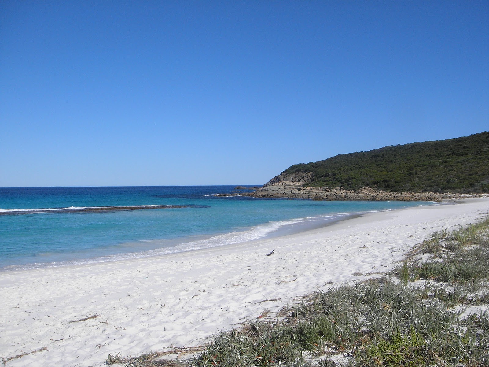 Short Beach'in fotoğrafı uçurumlarla desteklenmiş