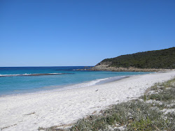Zdjęcie Short Beach położony w naturalnym obszarze