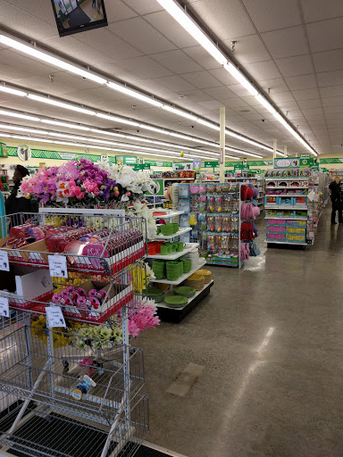 Dollar Store «Dollar Tree», reviews and photos, 12030 NE 85th St, Kirkland, WA 98033, USA