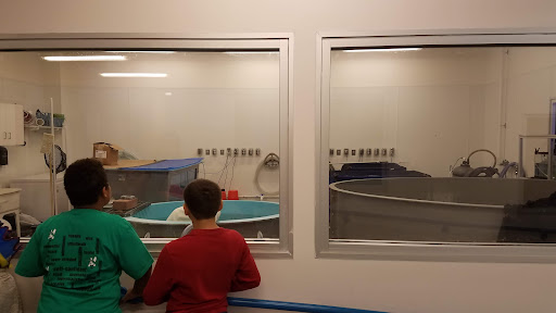 Aquarium «SEA LIFE Grapevine Aquarium», reviews and photos, 3000 Grapevine Mills Pkwy, Grapevine, TX 76051, USA