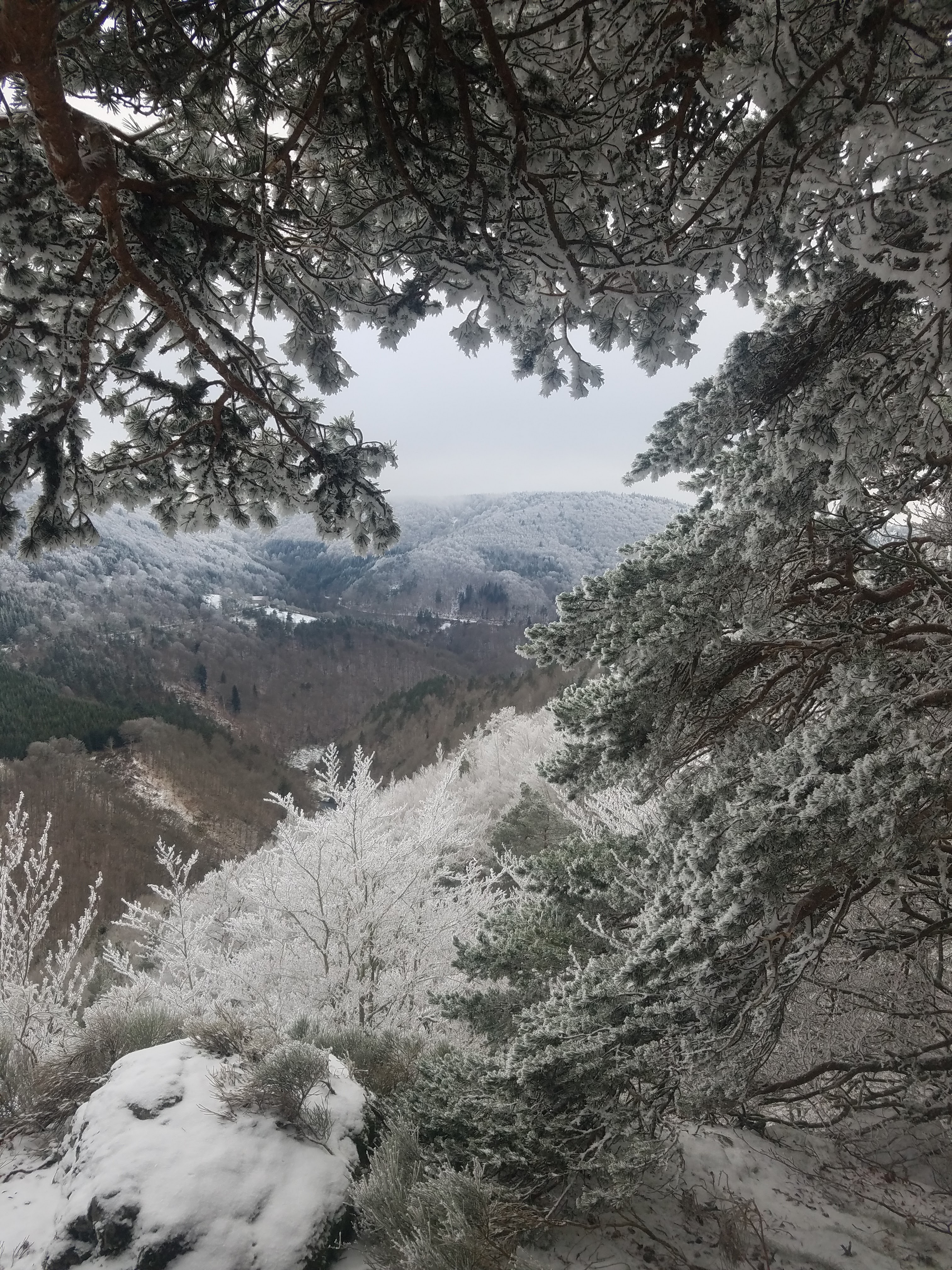 Photo n° 3 de l'avis de ambre.a fait le 09/01/2019 à 21:08