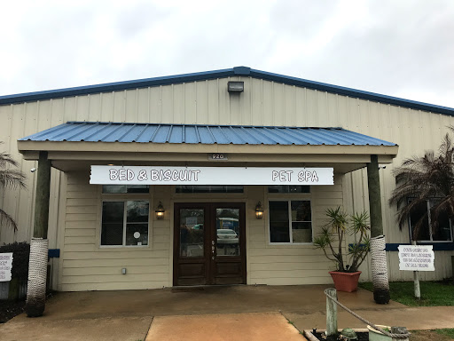 Bayside Bed and Biscuit