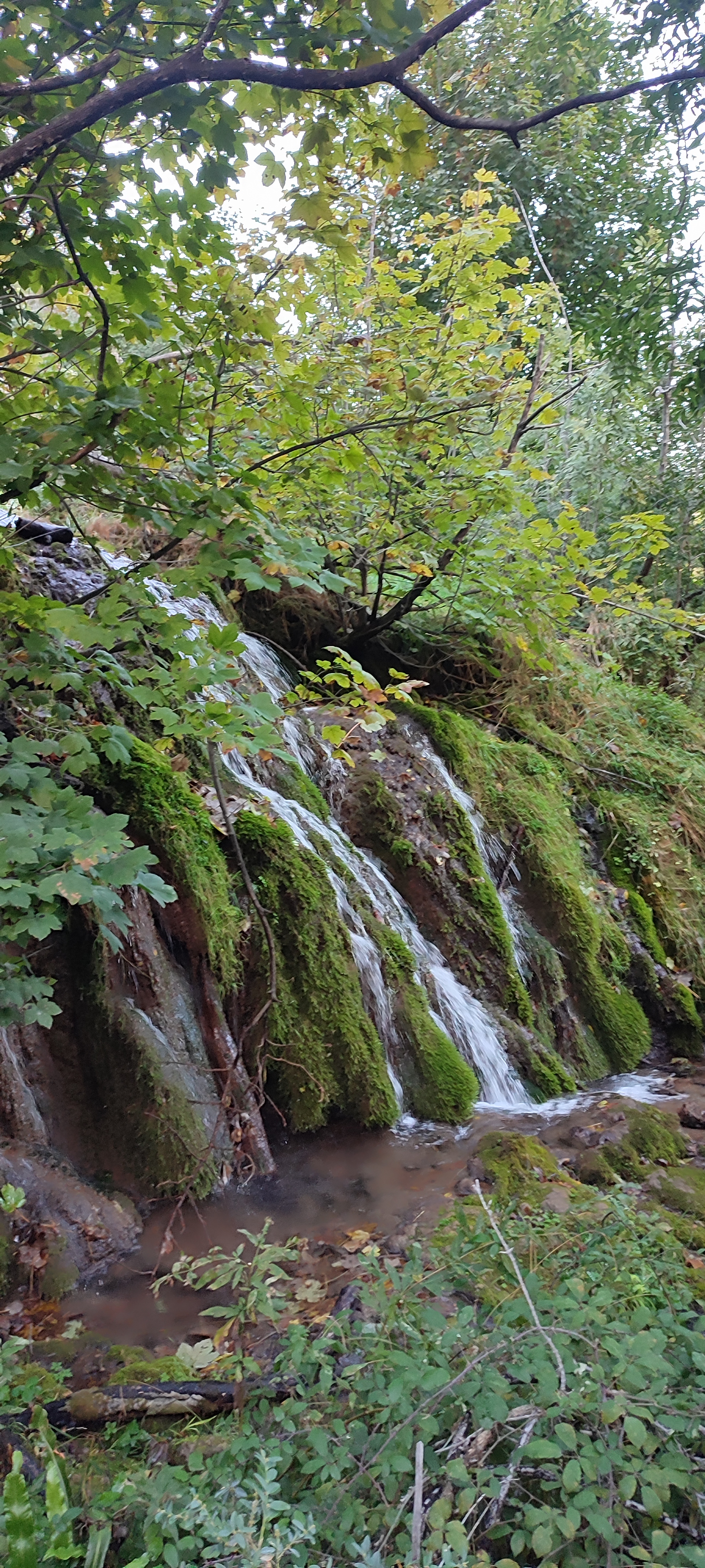 Photo n° 2 de l'avis de B. fait le 21/10/2023 à 19:42