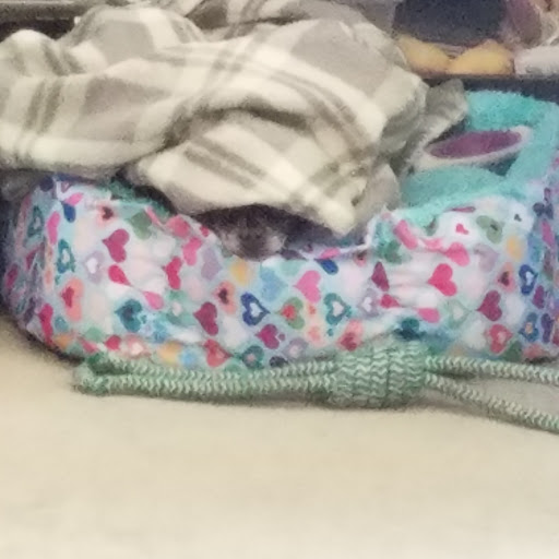 Fabric Store «Jo-Ann Fabrics and Crafts», reviews and photos, 5610 Suemandy Dr, St Peters, MO 63376, USA