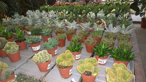 Viveros Agua y Jardín S.L. Ibiza