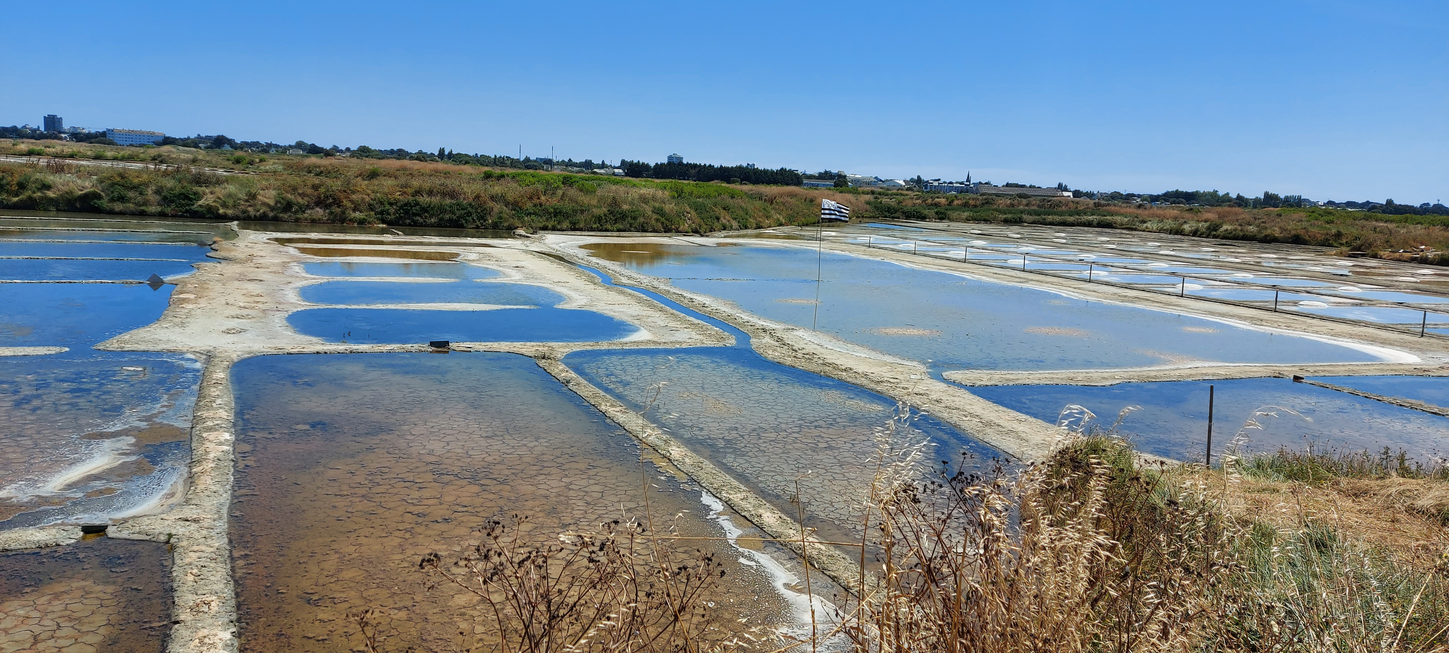 Photo n° 1 de l'avis de marine.e fait le 16/07/2020 à 12:43