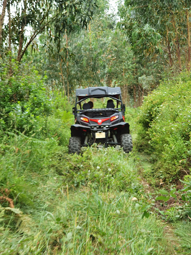 Storybuggies Horário de abertura