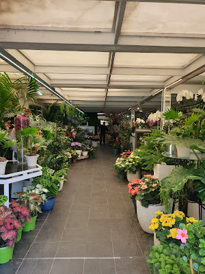 Maurice Jardins Fleurs à Cannes