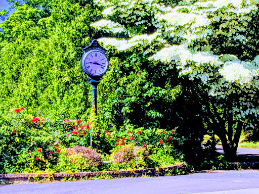 Golf Club «Alling Memorial Golf Course», reviews and photos, 35 Eastern St, New Haven, CT 06513, USA