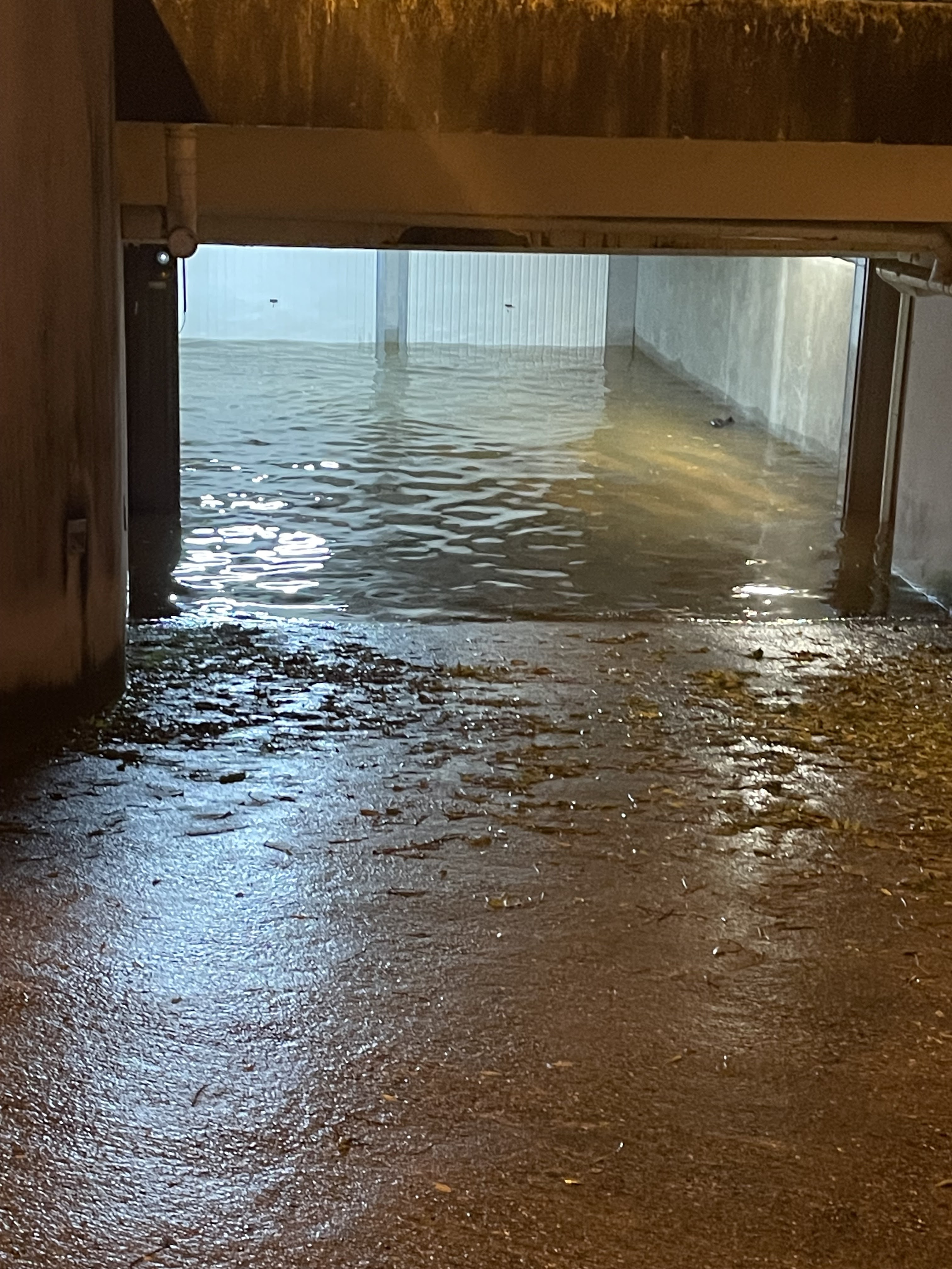 Photo n° 1 de l'avis de Wendy.e fait le 07/11/2023 à 14:11