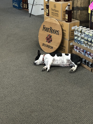 Avon Liquor, 100 W Beaver Creek Blvd, Avon, CO 81620, USA, 