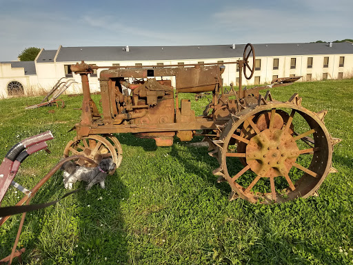 American Restaurant «Cracker Barrel Old Country Store», reviews and photos, 1534 Bear Creek Pike, Columbia, TN 38401, USA