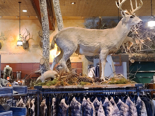 Sporting Goods Store «Bass Pro Shops», reviews and photos, 1000 Basspro Dr, Houston, TX 77047, USA