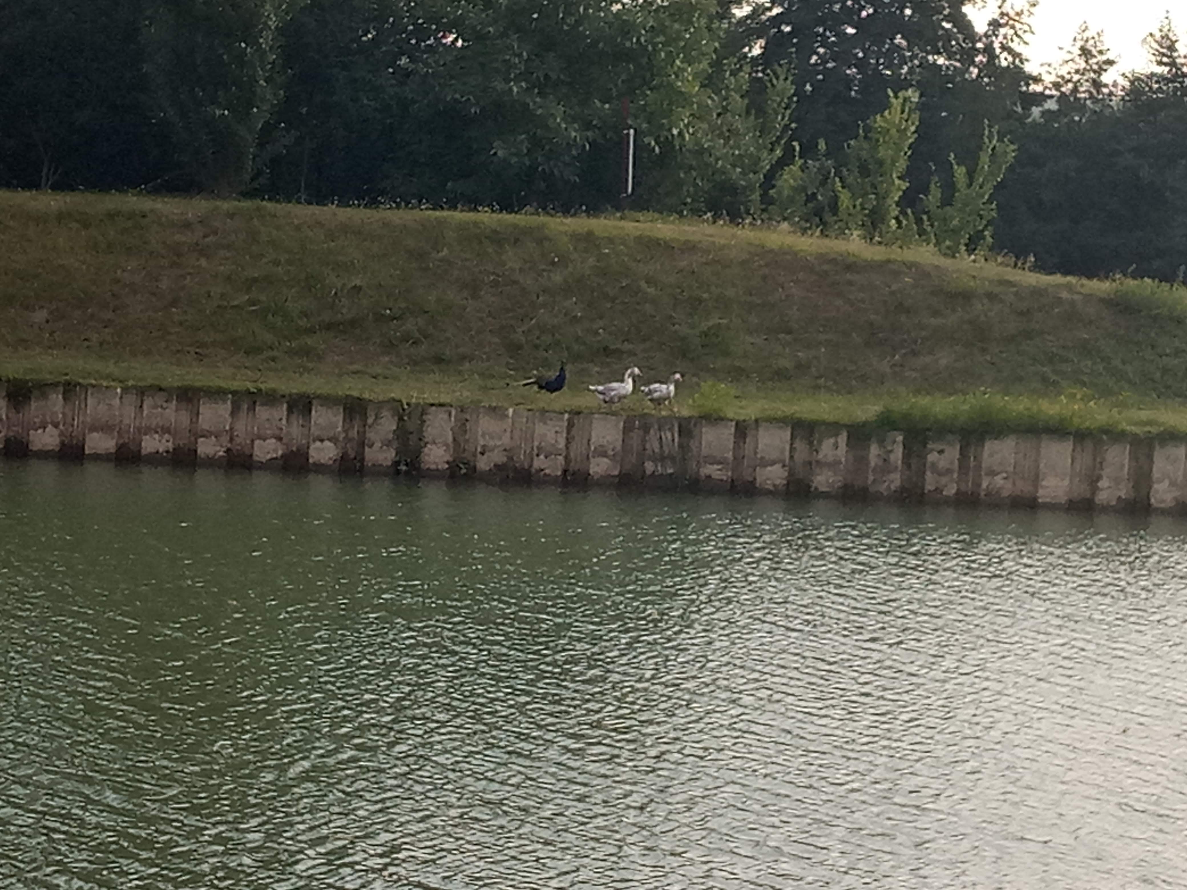Photo n° 3 de l'avis de Annabelle.l fait le 24/08/2018 à 10:28