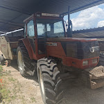 Photo n°2 de l'avis de Stefano.a fait le 31/05/2021 à 07:28 sur le  Asd C'era Una Volta il West à Fiumicino