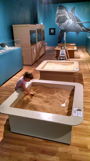 Museum «Museum», reviews and photos, 2142 Southern Dr, Statesboro, GA 30458, USA