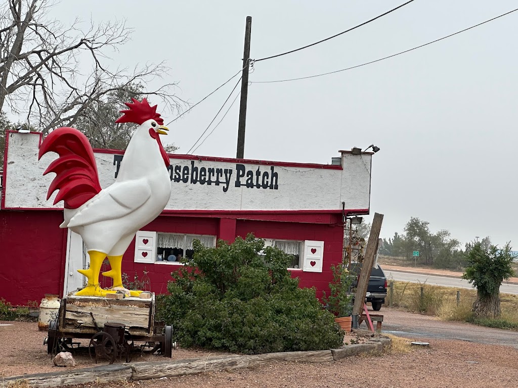 The Gooseberry Patch 81240