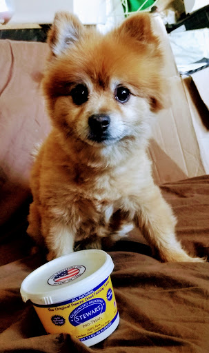 Pet Supply Store «Petco Animal Supplies», reviews and photos, 5315 Sunrise Blvd, Fair Oaks, CA 95628, USA