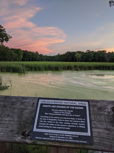 Nature Preserve «Lincoln Marsh», reviews and photos, Harrison Ave & Pierce Ave, Wheaton, IL 60187, USA