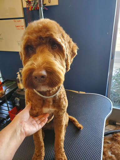 Pet Store «Healthy Pets Mountain West», reviews and photos, 2352 Fort Union Blvd, Cottonwood Heights, UT 84121, USA