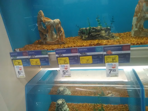 Pet Supply Store «PetSmart», reviews and photos, 21 Trader Ln, Williston, VT 05495, USA