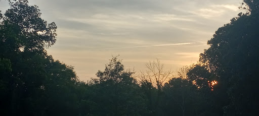 Farm «B & B Flower Farm», reviews and photos, 668 Jones Hill Rd, West Haven, CT 06516, USA