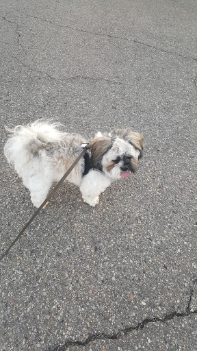 Pet Supply Store «Purely Pets», reviews and photos, 13723 23 Mile Rd, Shelby Charter Township, MI 48315, USA