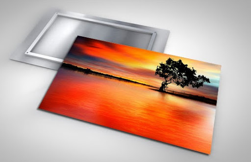 Shiny Prints HD Metal Prints, 880 Jupiter Park Dr #6, Jupiter, FL 33458, USA, 