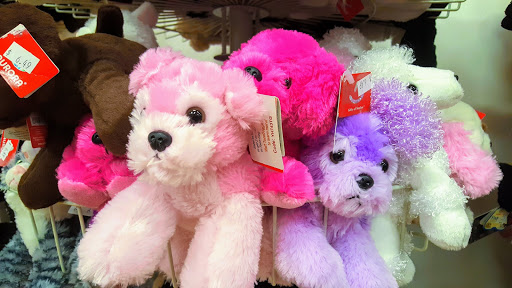 Toy Store «The Toy Shelf», reviews and photos, 3195 28th St SE D - 102, Grand Rapids, MI 49512, USA