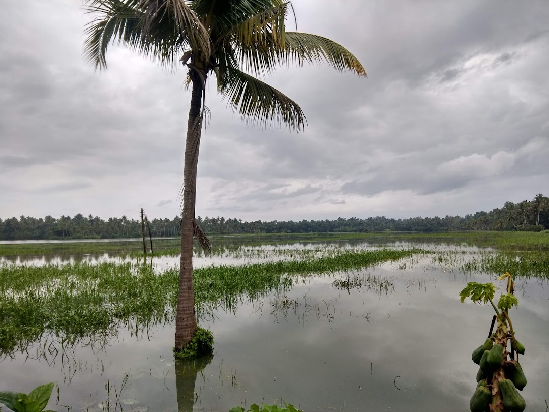 CHENGALI PADAM