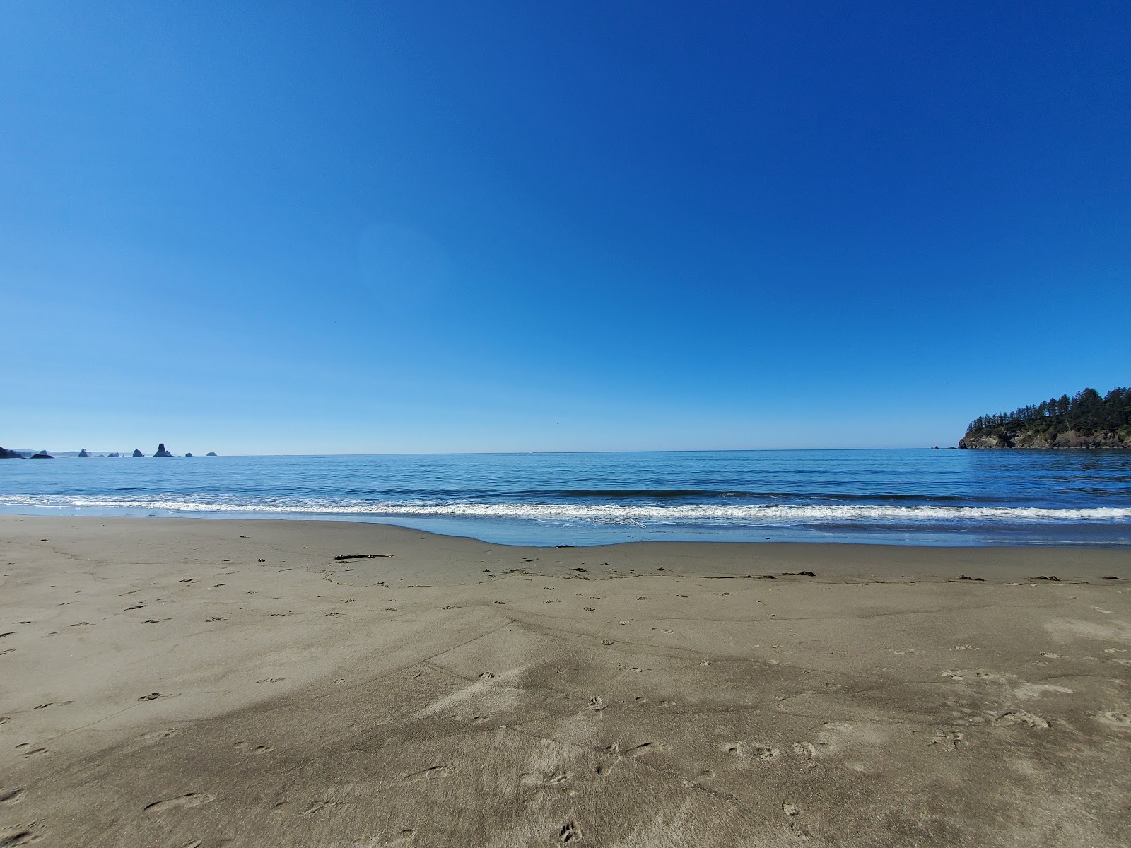 Photo de Third Beach Quileute Res. avec l'eau cristalline de surface