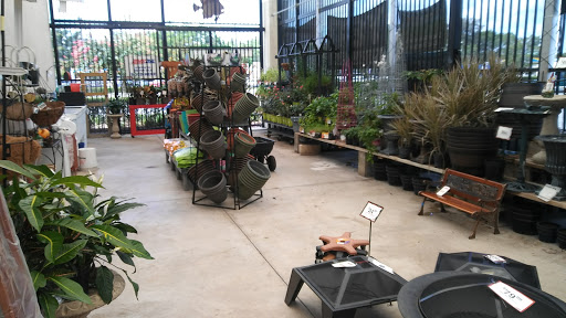 Hardware Store «Groveland Ace Hardware», reviews and photos, 1007 FL-50, Groveland, FL 34736, USA