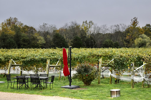 Vineyard «Muse Vineyards», reviews and photos, 16 Serendipity Ln, Woodstock, VA 22664, USA