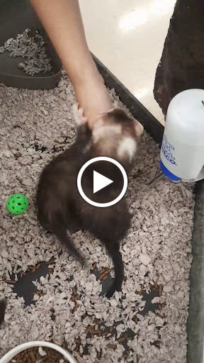 Pet Supply Store «Petco Animal Supplies», reviews and photos, 4475 SW 40th Ave, Ocala, FL 34474, USA