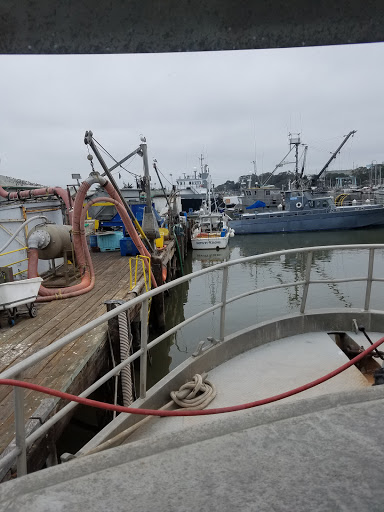 Research Institute «Monterey Bay Aquarium Research Institute», reviews and photos, 7700 Sandholdt Rd, Moss Landing, CA 95039, USA