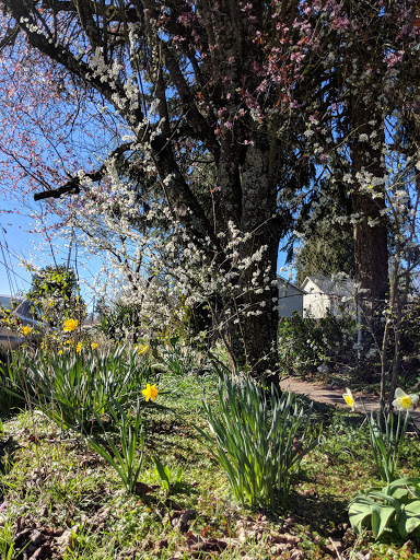 Park «Mt. Scott Park», reviews and photos, SE 72nd Ave & Southeast Harold Street, Portland, OR 97206, USA