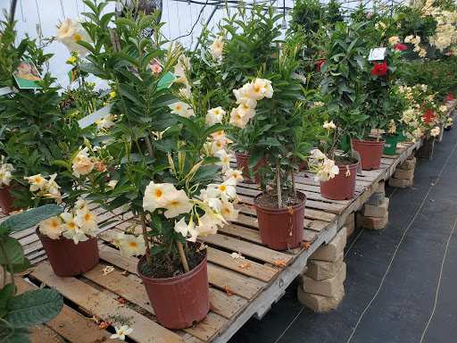 Garden Center «Beachside Gardens & Gifts», reviews and photos, 3725 US-12, Michigan City, IN 46360, USA