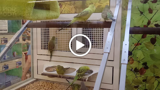 Pet Supply Store «PetSmart», reviews and photos, 1520 Pleasant Valley Rd, Manchester, CT 06042, USA