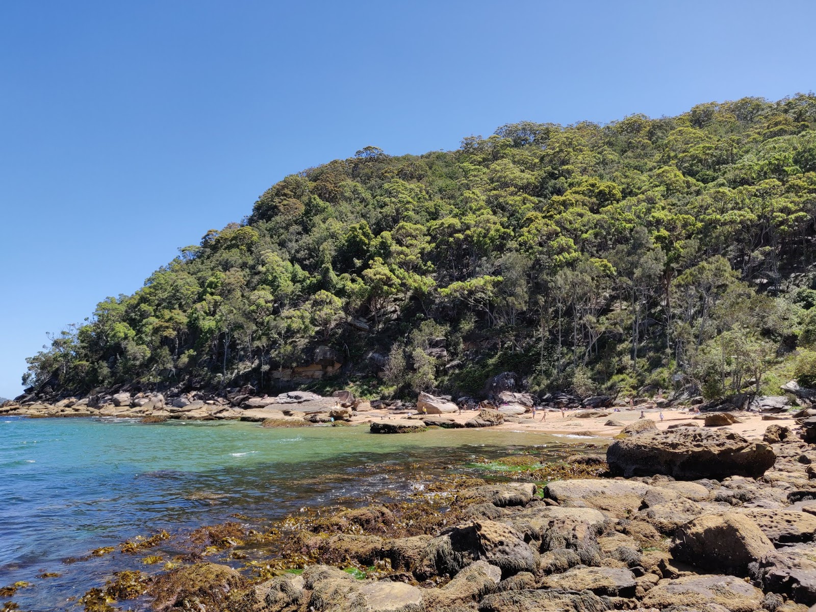 Foto de West Head Beach zona salvaje