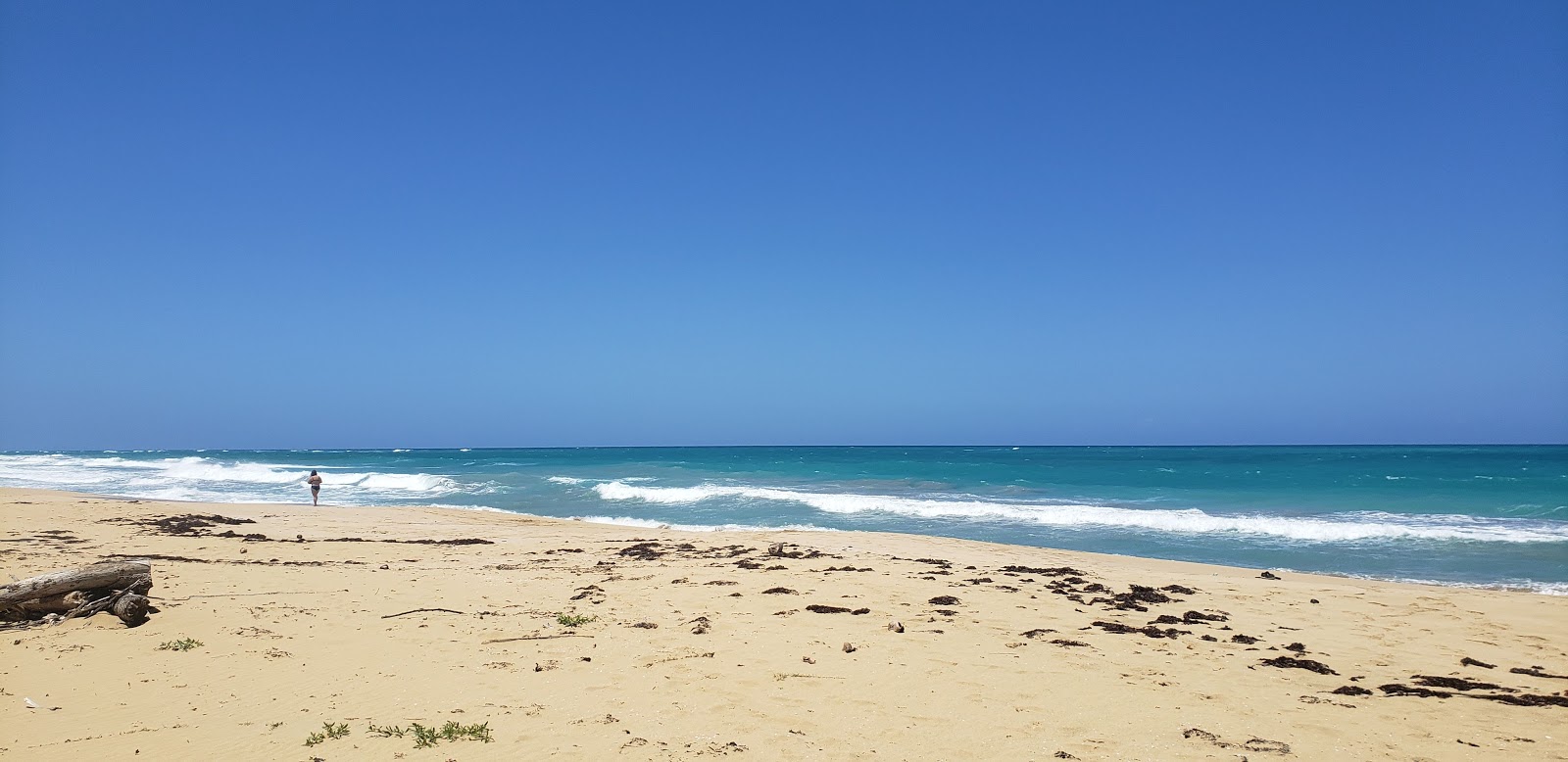 Foto af El Limon Strand beliggende i naturområde