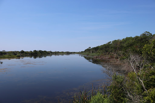 Tourist Attraction «Beach Access», reviews and photos, Alantic Ave, Pawleys Island, SC 29585, USA