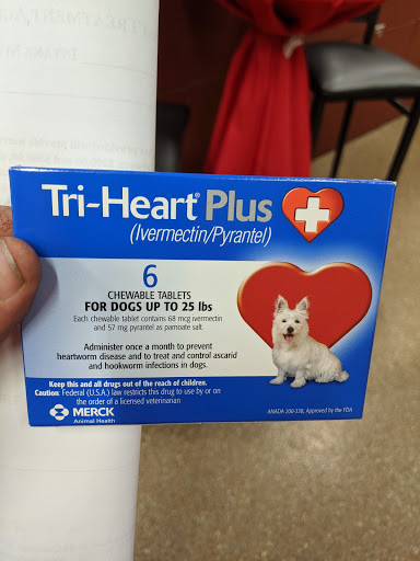 Animal Protection Organization «Charleston Animal Society», reviews and photos