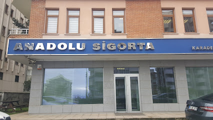 Anadolu Sigorta - Karadeniz Bölge Müdürlüğü