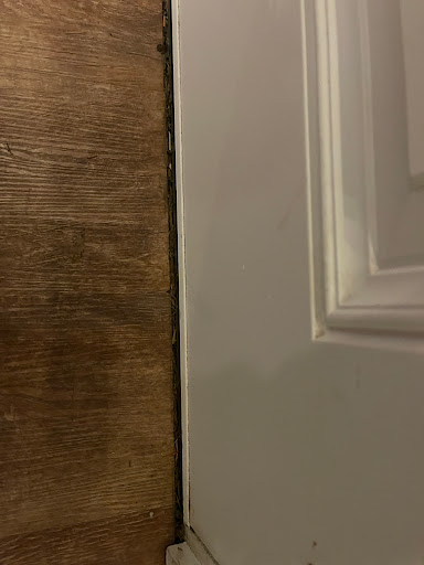 Flooring Store «Greenhome Solutions», reviews and photos, 1210 W Nickerson St, Seattle, WA 98119, USA