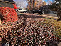 Steiner's Landscaping - Photo 5 - Car repair in , Nampa